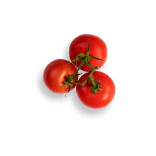 Background-copy2-308x308
